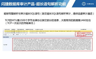 数据库审计解决方案思路全景图
